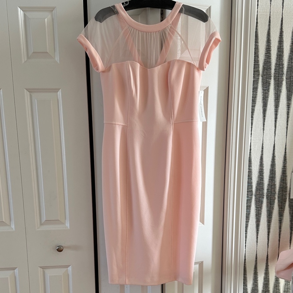 Maggy London Elegant blush Pink illusion sheath Dress